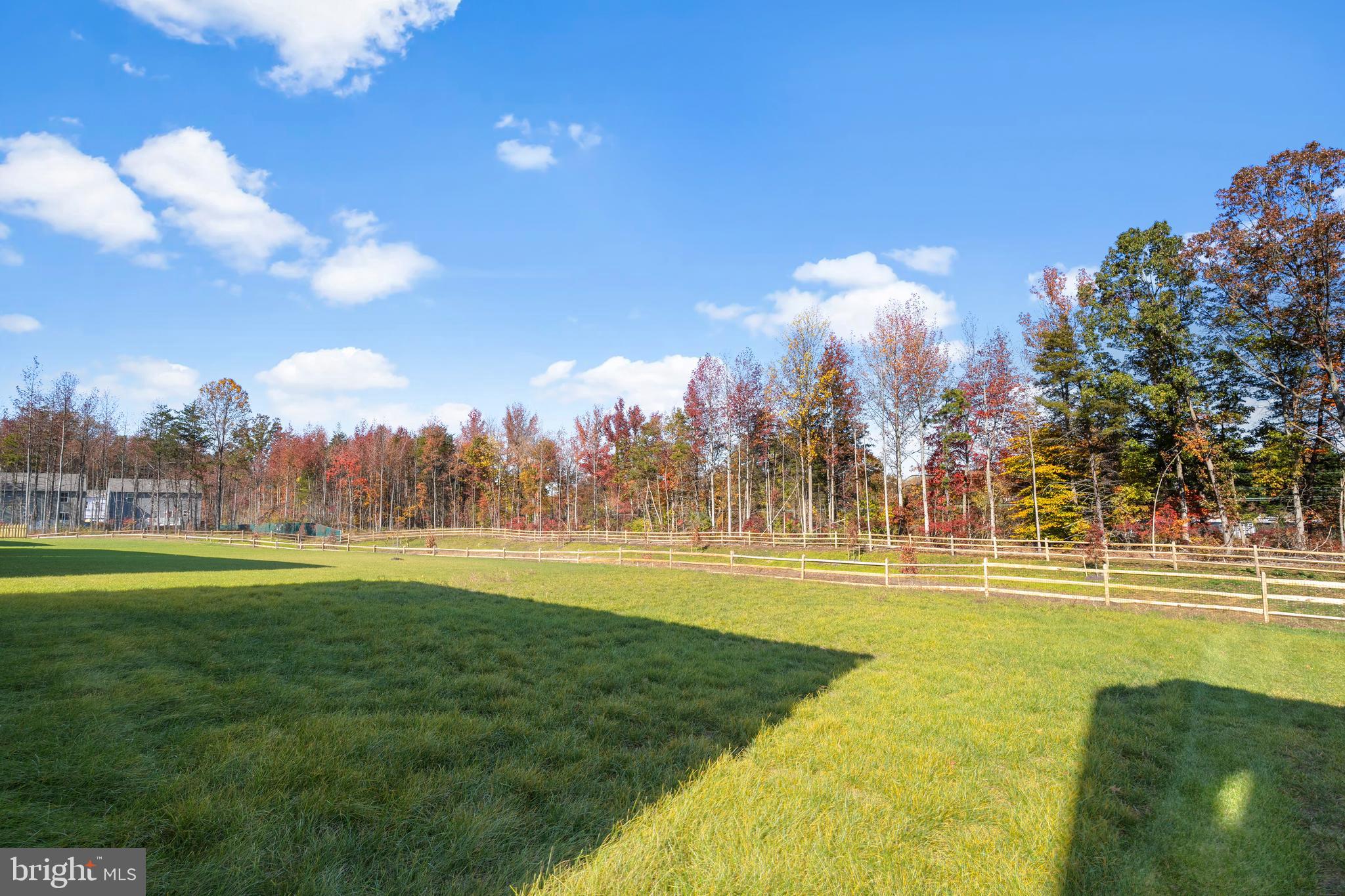 RIDGELY FOREST - Residential