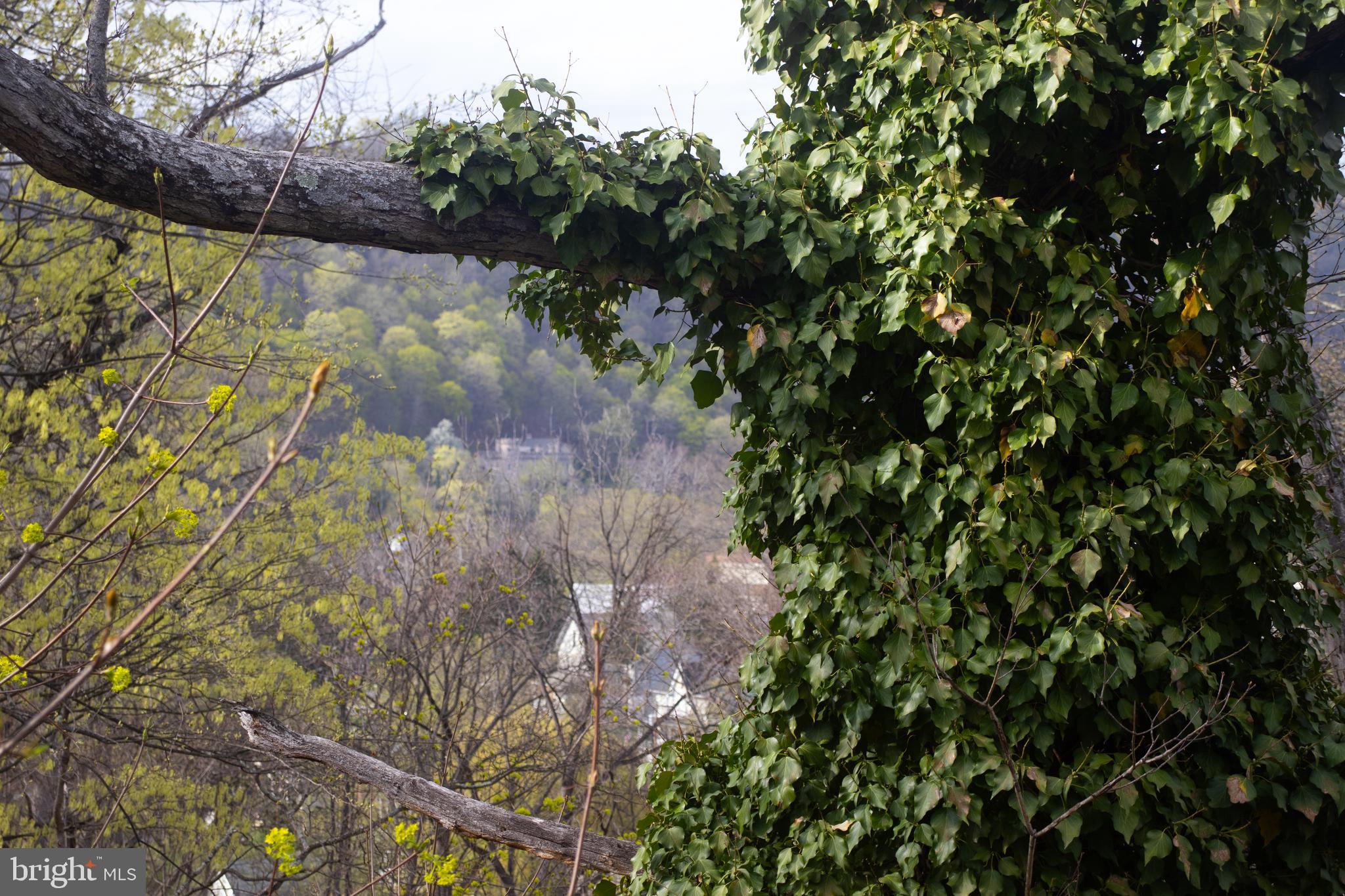 RAVENSWOOD ADDITION - Residential