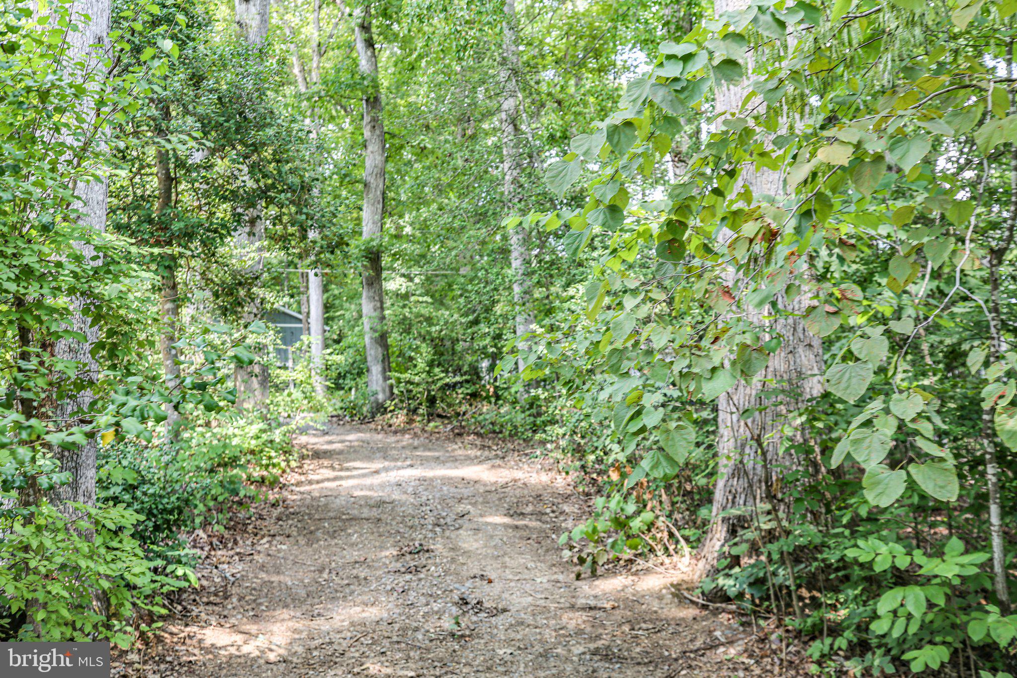 LAKE OF THE WOODS - Land