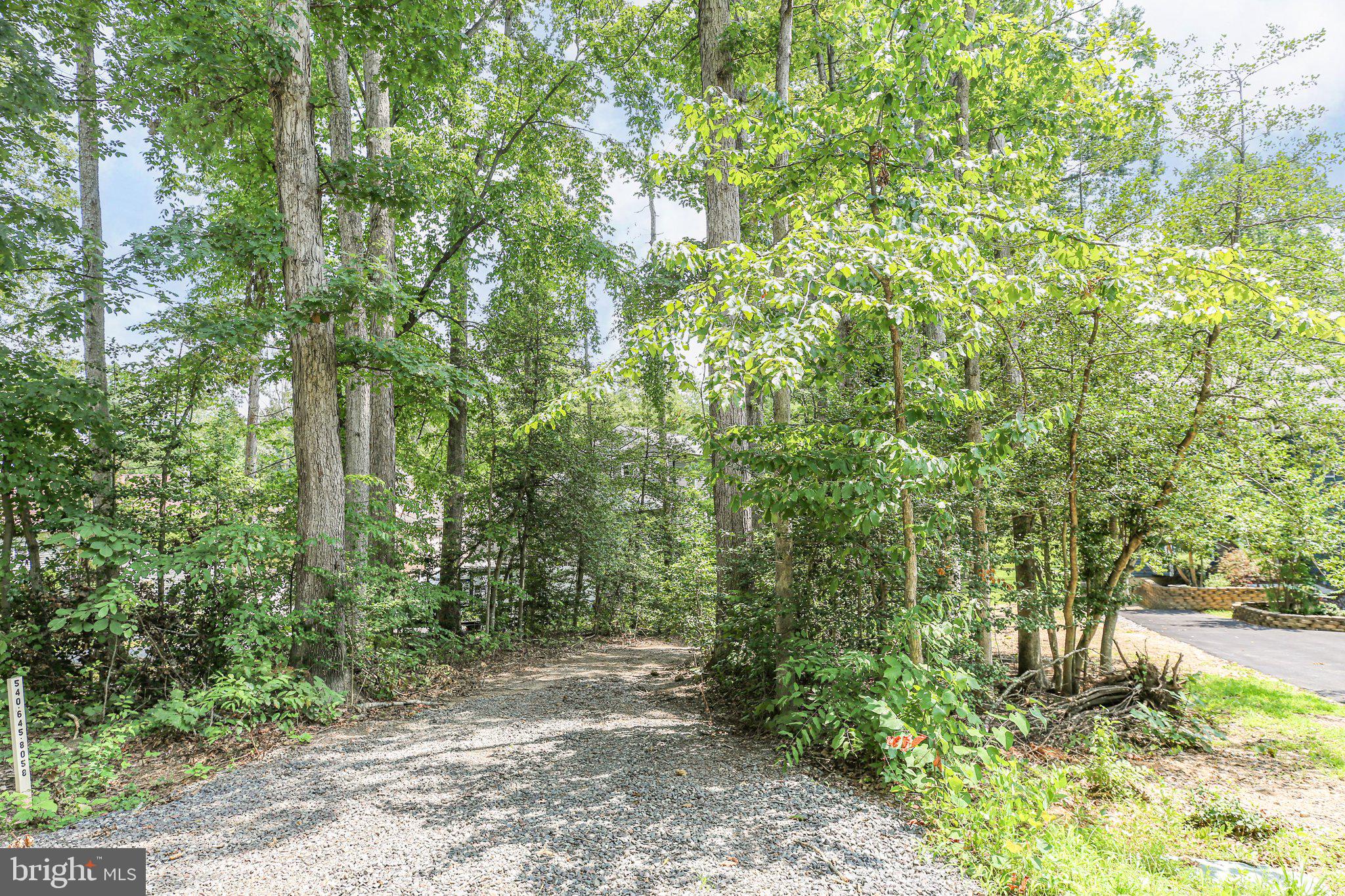 LAKE OF THE WOODS - Land