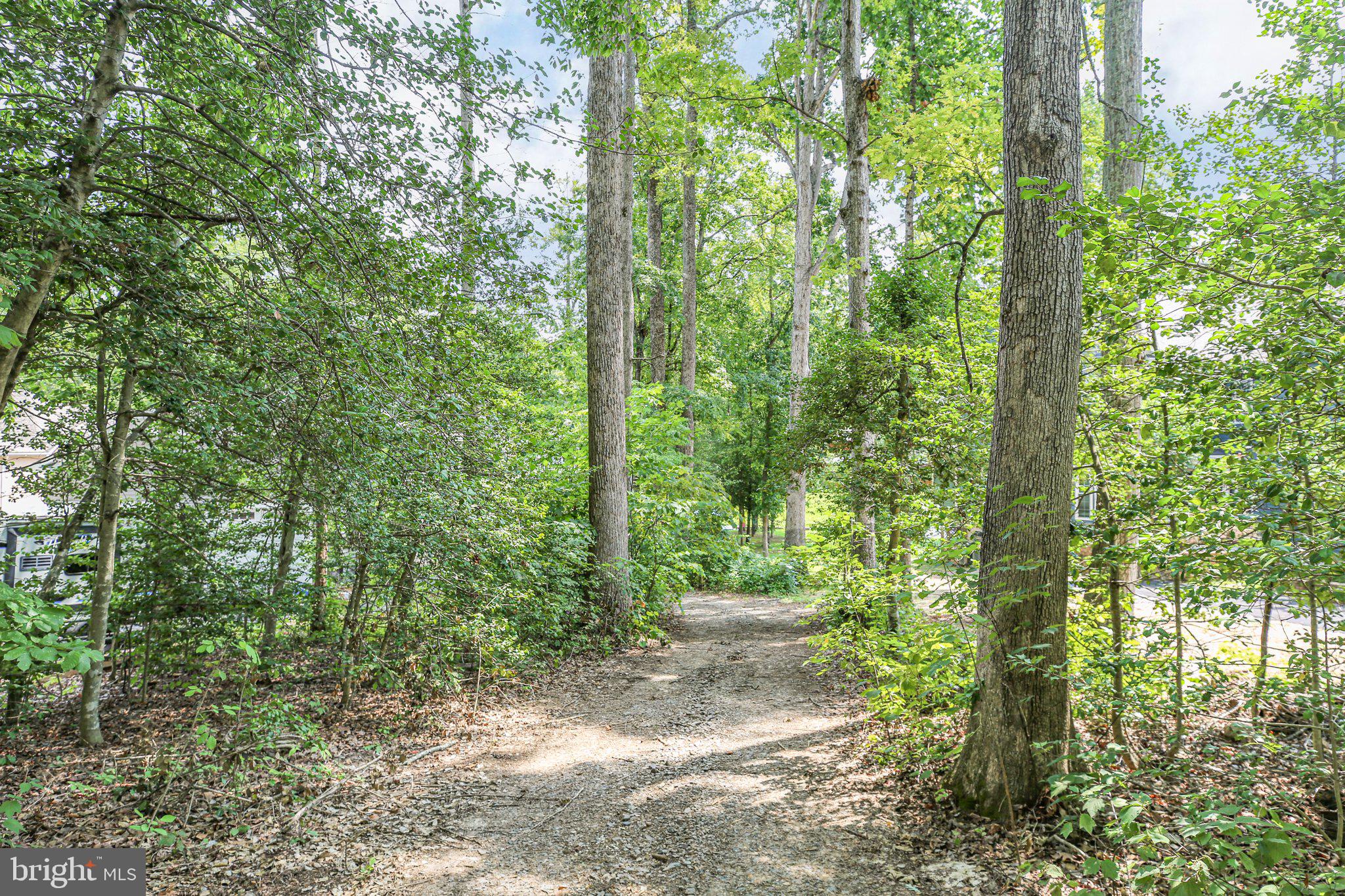 LAKE OF THE WOODS - Land