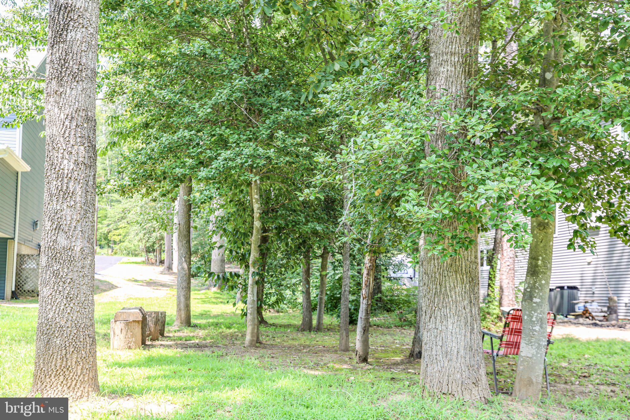 LAKE OF THE WOODS - Land