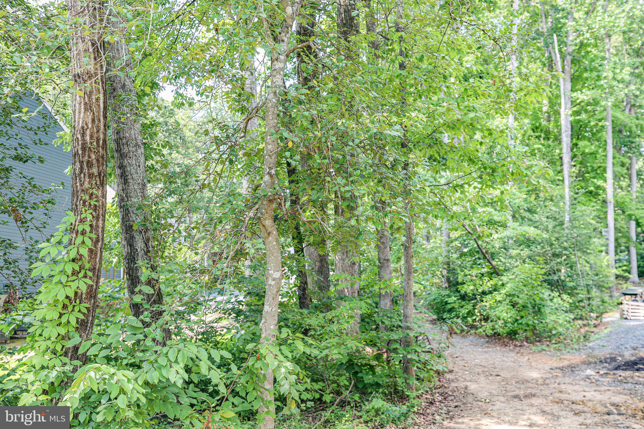 LAKE OF THE WOODS - Land