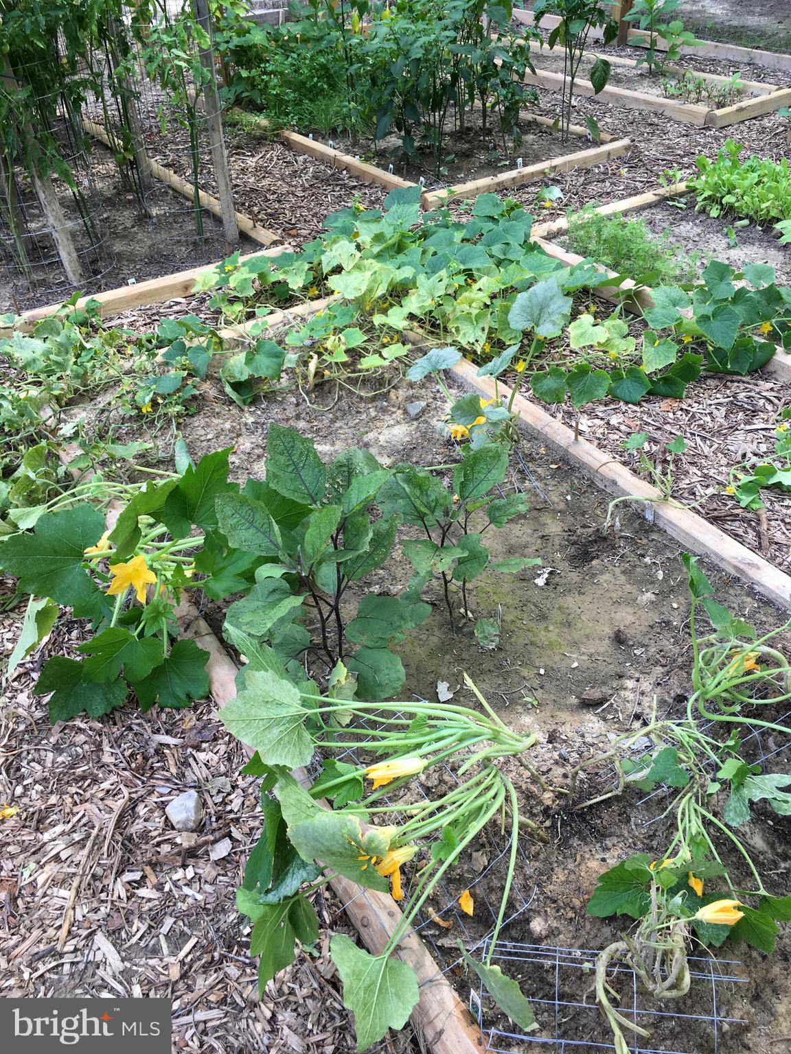 DOE RUN ESTATES - Residential