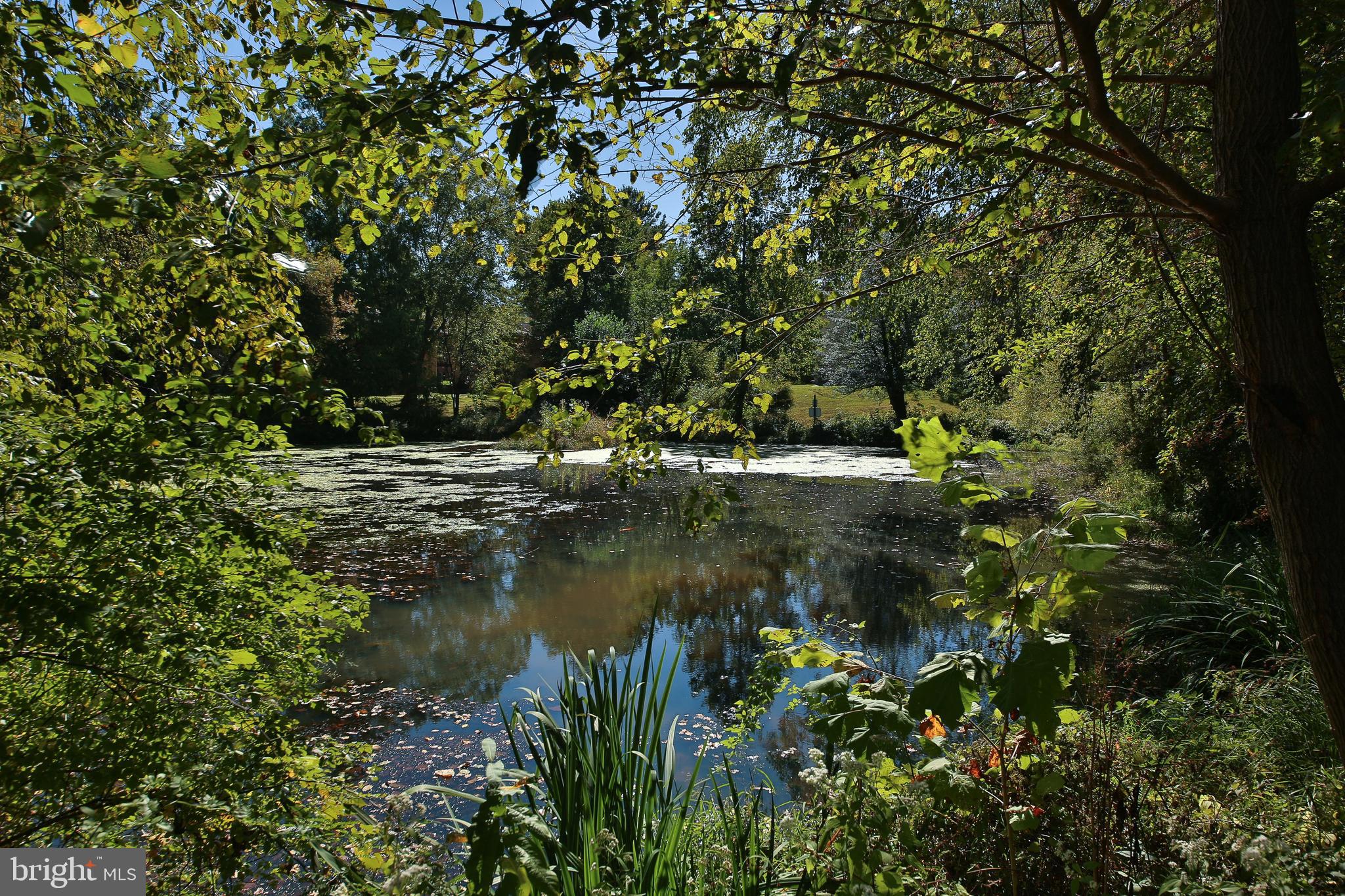 OLD FORGE CROSSING - Residential
