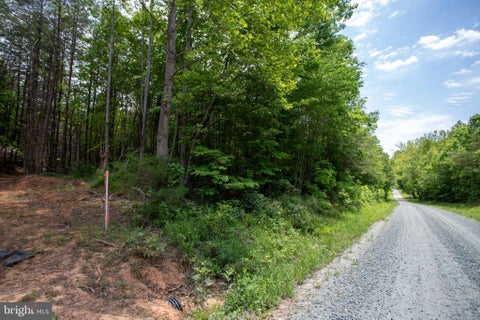 Vacant Land For Sale - TBD Brandon #4<br/> CHATHAM, VA 24531