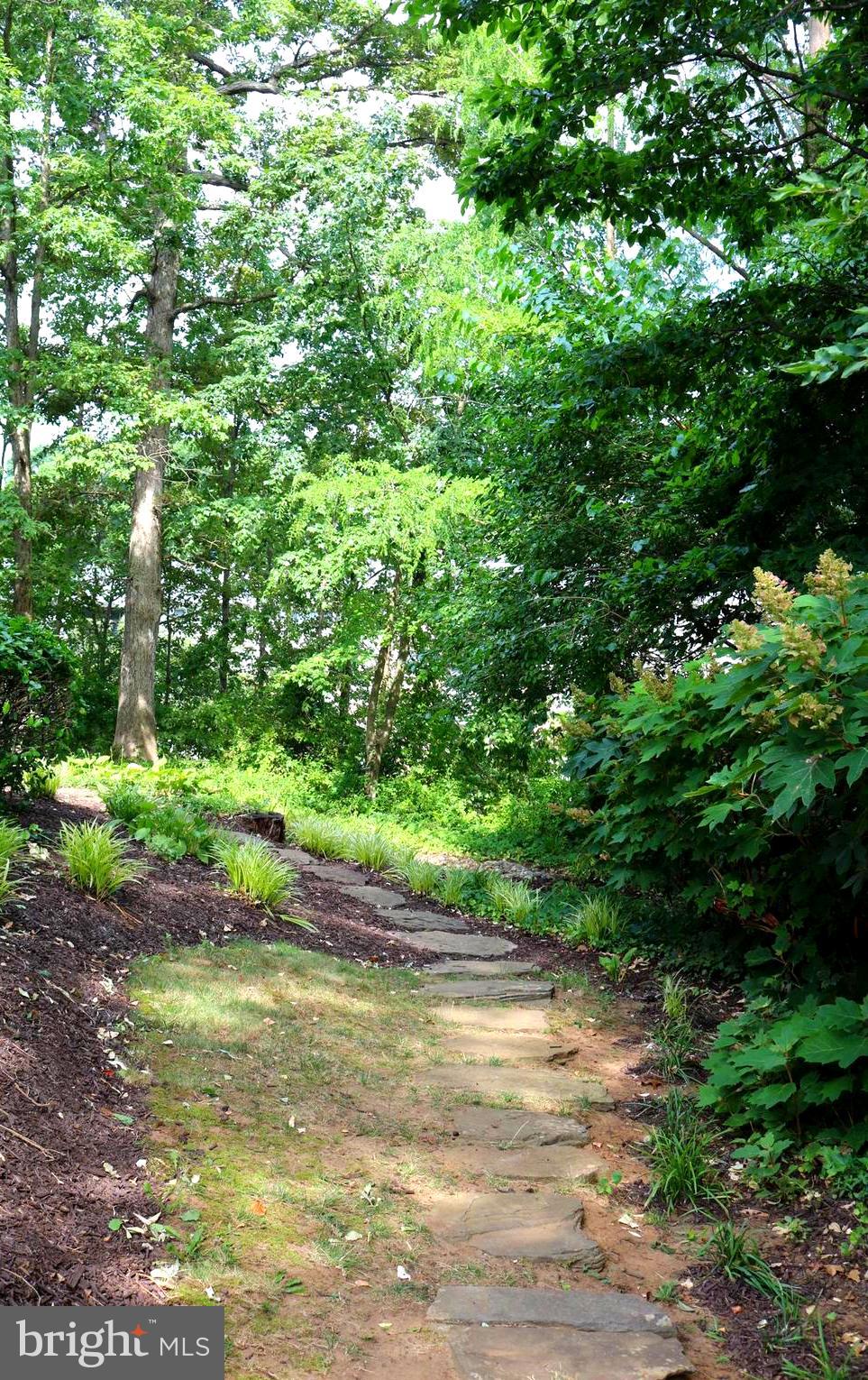 OAKLAND HILLS - Residential