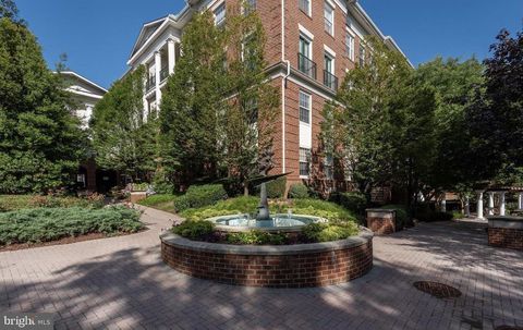 31 BOOTH STREET B55 GAITHERSBURG MD 20878