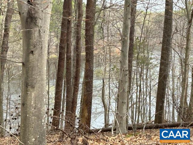 DOGWOOD LAKE ESTATES - Land