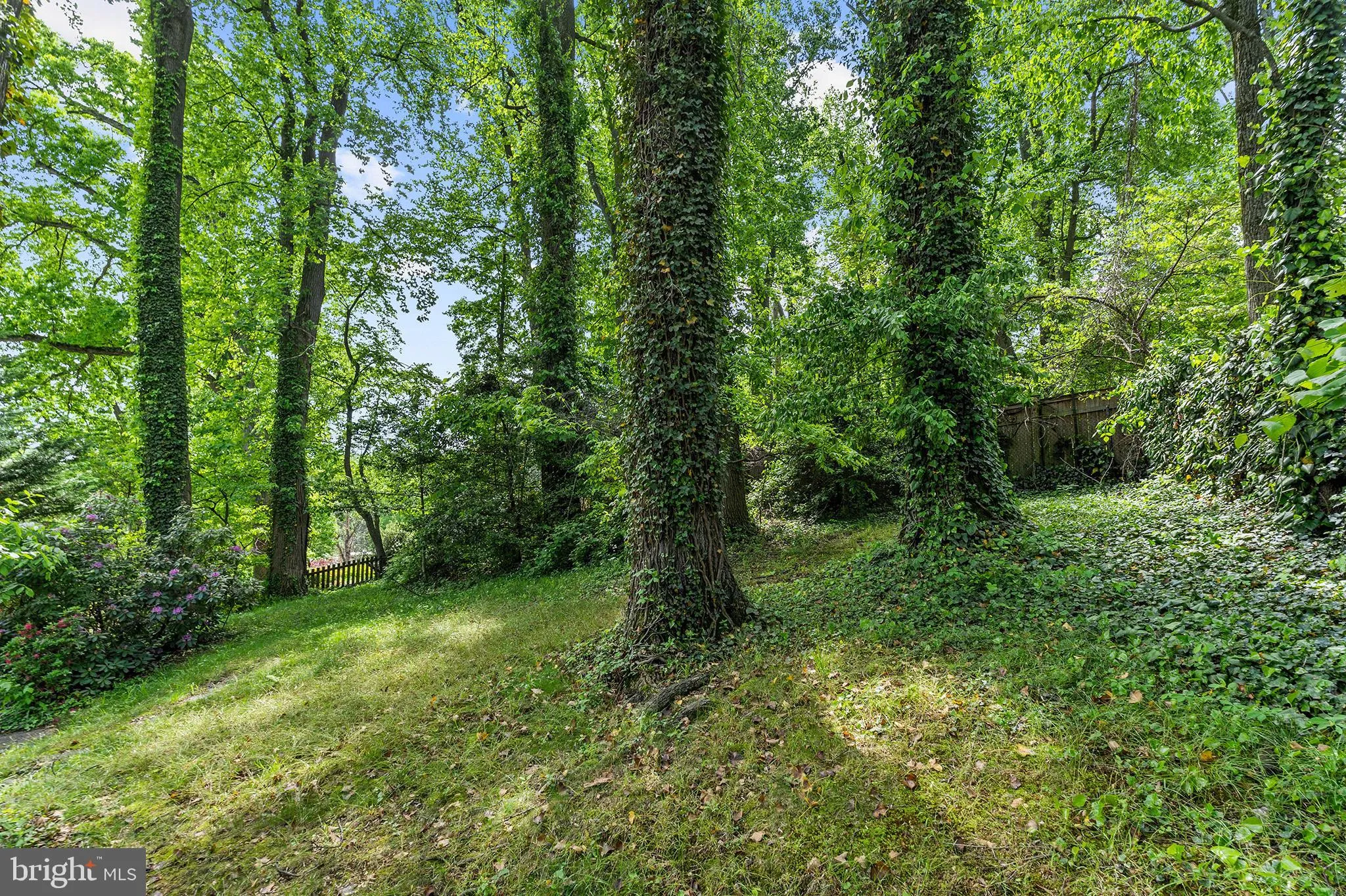 Additional image 91 of 4530 Dexter Street NW, Washington, DC 20007