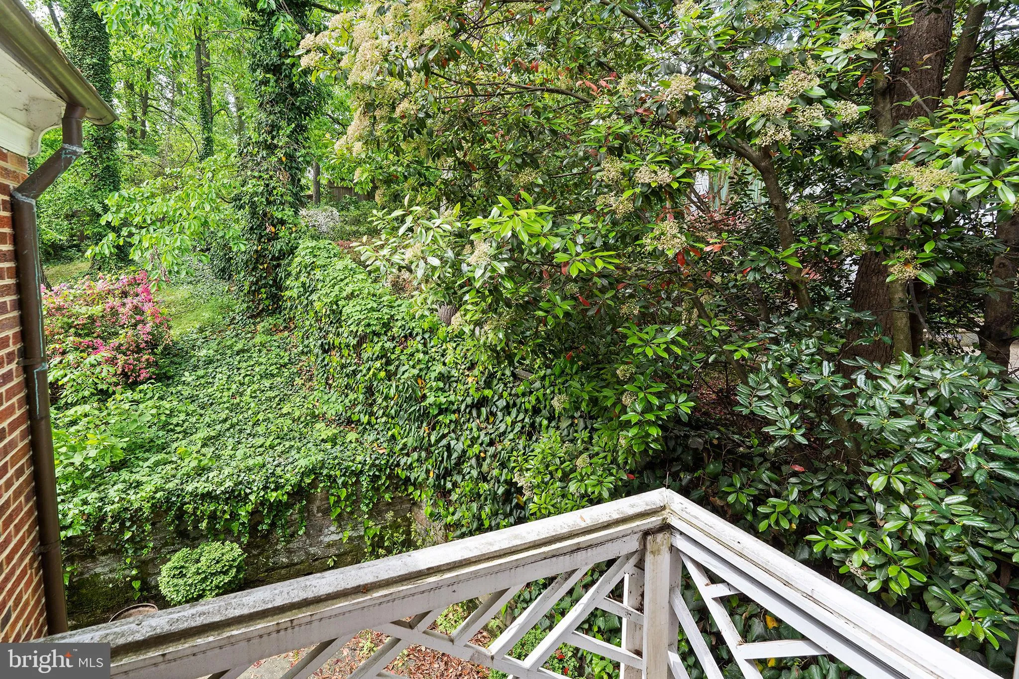 Additional image 65 of 4530 Dexter Street NW, Washington, DC 20007