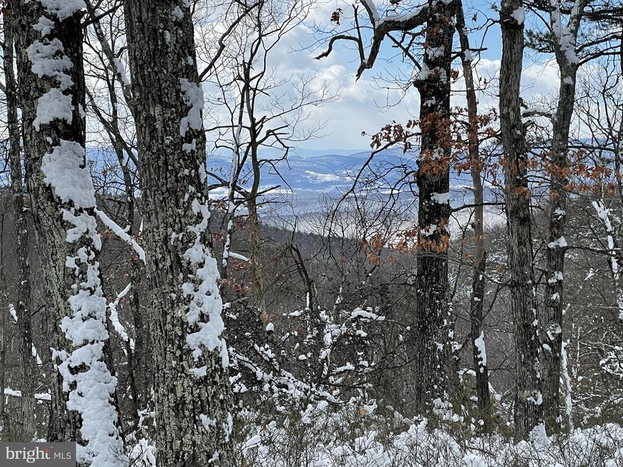 ***NEW PRICE IMPROVEMENT*** Discover the allure of mountain living with this exceptional land opportunity just 15 minutes from public access points for fishing, kayaking, and tubing. Nestled in the heart of nature, this parcel boasts the perfect blend of seclusion and convenience, offering a serene escape within approximately 2 hours from both DC and Baltimore.

This remarkable property features multiple potential building sites, each offering breathtaking views of the valley below. Imagine waking up to panoramic vistas, with the opportunity to design your dream home or cabin to maximize these stunning natural surroundings.

Once a haven exclusively for hunting, Ashton Woods has transformed into a thriving gated community, ensuring a sense of security and community for its residents. The availability of electricity within the community, extendable to the lot, provides not only modern conveniences but also makes remote working a breeze – a perfect balance of connectivity and solitude.

Embrace the unique lifestyle this land offers, where you can build your dream home and enjoy the convenience of hunting right off your back deck. The surrounding landscape is teeming with abundant wildlife, creating an outdoor enthusiast's paradise.

If you crave a taste of small-town charm and modern amenities, Moorefield is just a short 30-minute drive away, offering a variety of restaurants, shopping, and conveniences. Conveniently located just 25 minutes off of Corridor H-Interstate/Route 55, reaching your mountain retreat is a breeze.

Whether you're envisioning a full-time residence, a weekend getaway, or a hunting cabin, this property caters to all lifestyles. Seize the opportunity to create a haven that seamlessly blends the tranquility of nature with the comforts of modern living. Don't miss your chance to own a piece of this mountain paradise – where every day feels like a retreat.