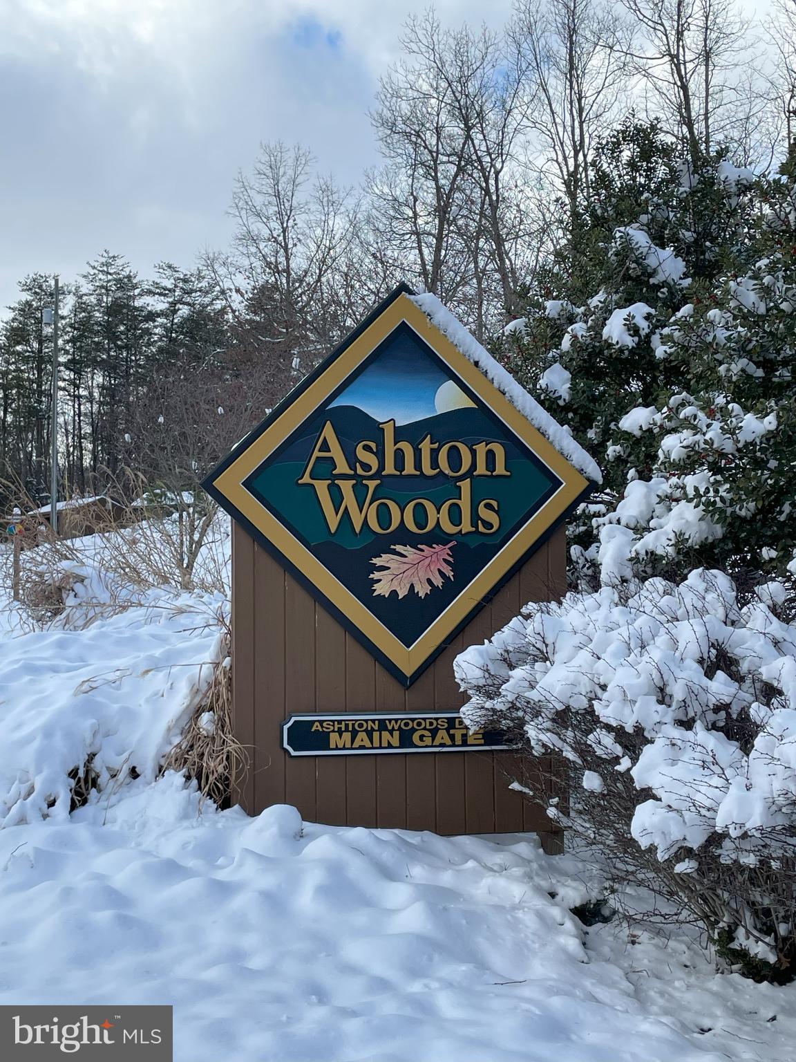 ASHTON WOODS - Land