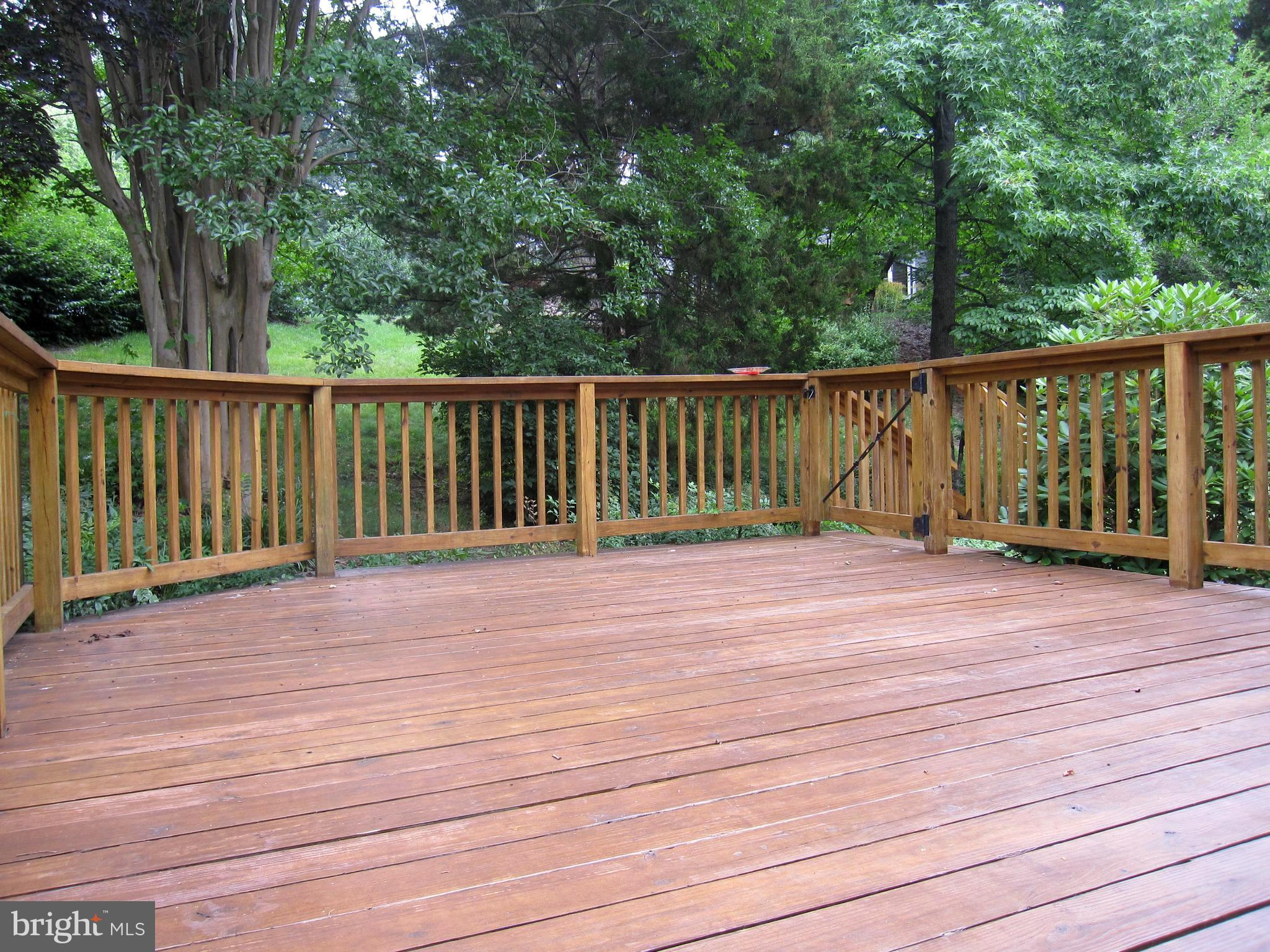 RIVA TRACE/SPRING PLACE - Residential