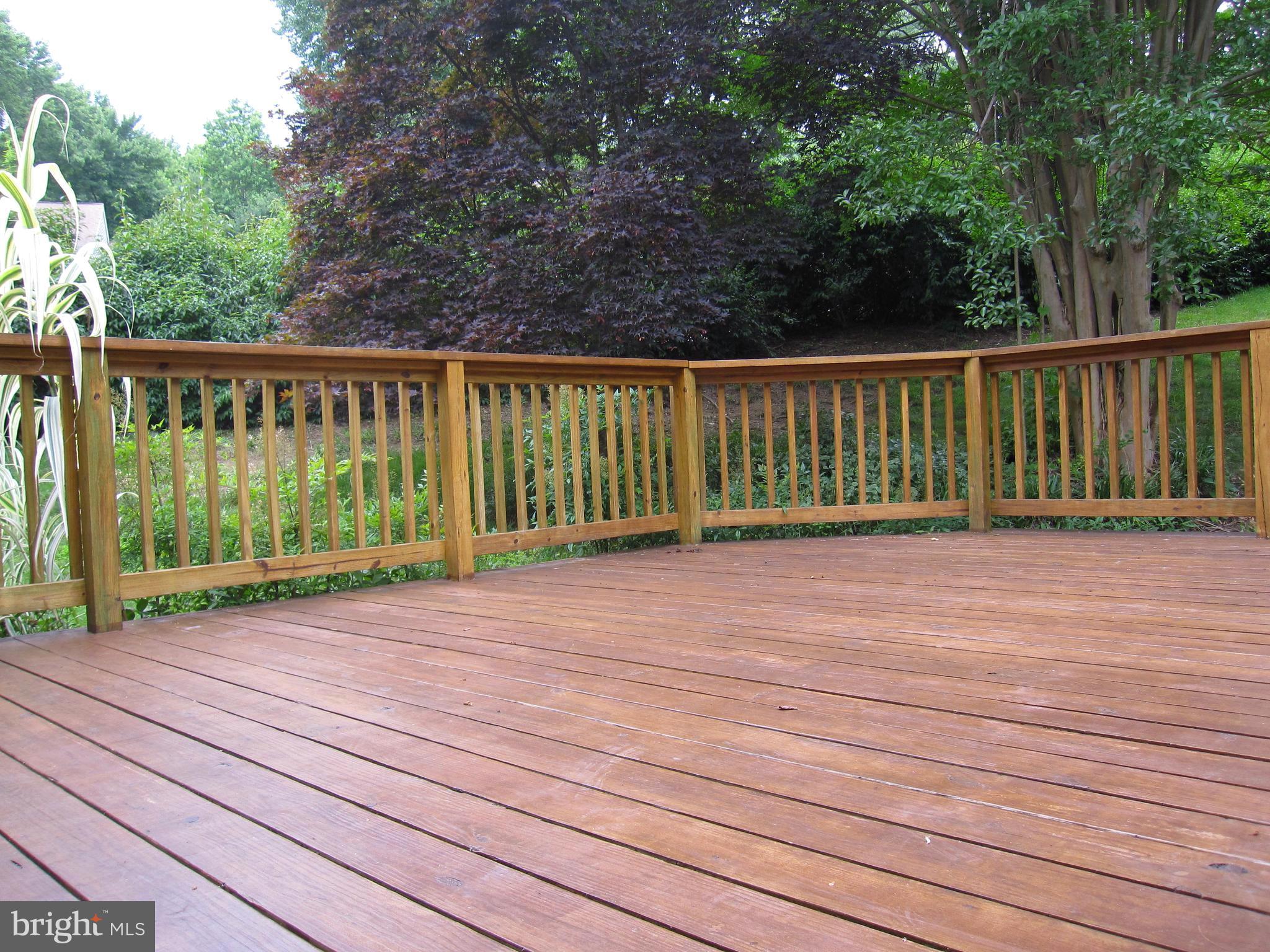 RIVA TRACE/SPRING PLACE - Residential