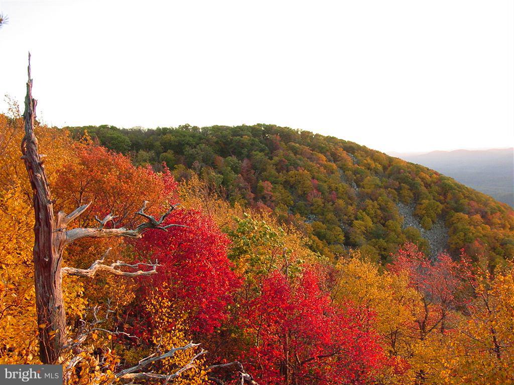 CACAPON MOUNTAIN RECREATIONAL AREA - Land