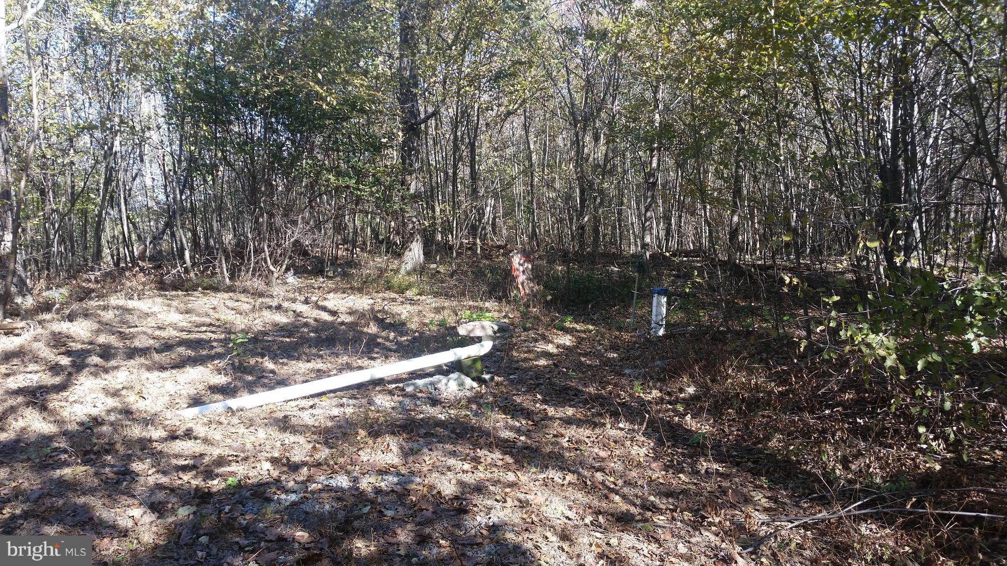 CACAPON MOUNTAIN RECREATIONAL AREA - Land