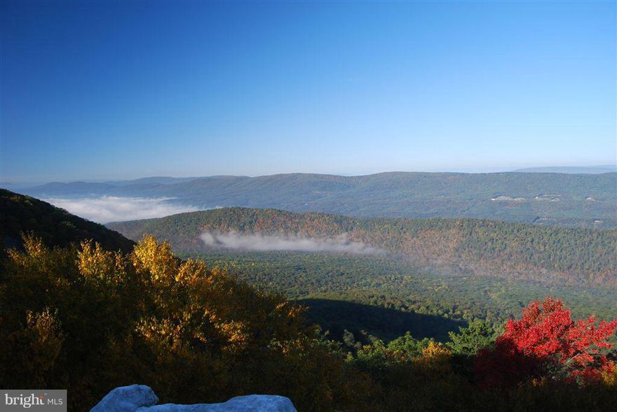 WANT TO GET AWAY FROM IT ALL? then look no further. 50.72 acres with exceptional westerly views on top of the Cacapon mountain and bordering a WV state park. Well and Septic already installed. Nice level bluff for building. Sure, the roads are a bit rough, but that keeps it private. Miles of hiking trails, great hunting and the Cacapon and Potomac rivers are nearby. Call Today!
