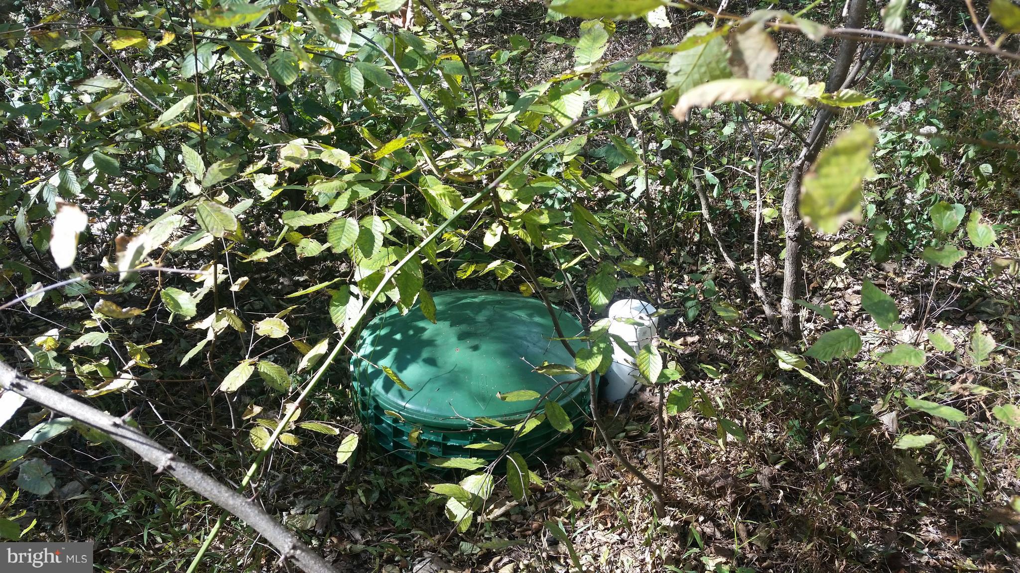 CACAPON MOUNTAIN RECREATIONAL AREA - Land