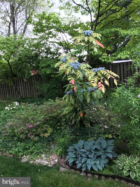 RUTHERFORD - Residential