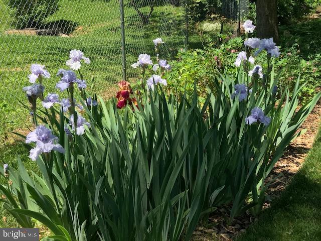 RUTHERFORD - Residential