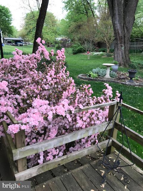 RUTHERFORD - Residential