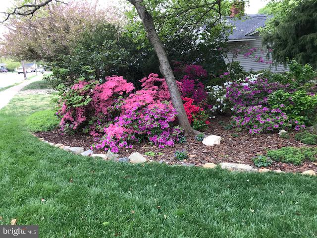 RUTHERFORD - Residential