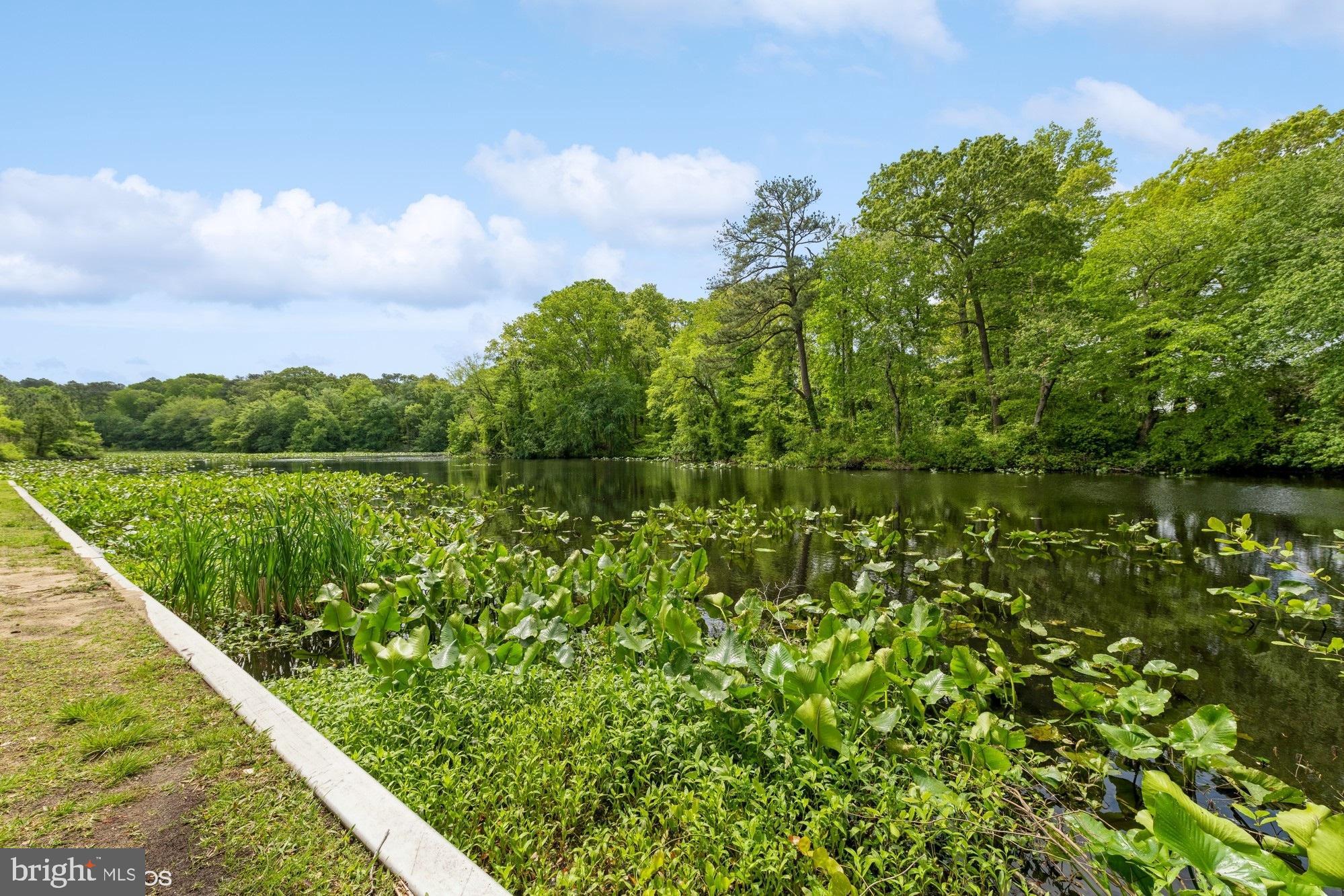 CANAL WOODS CM - Residential