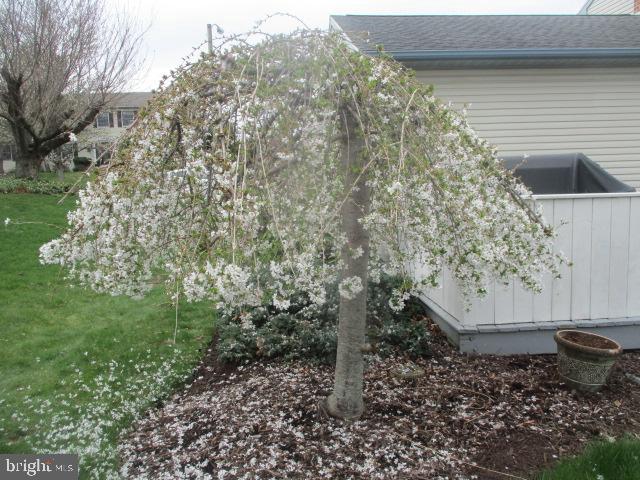 LAUREL HILLS - Residential