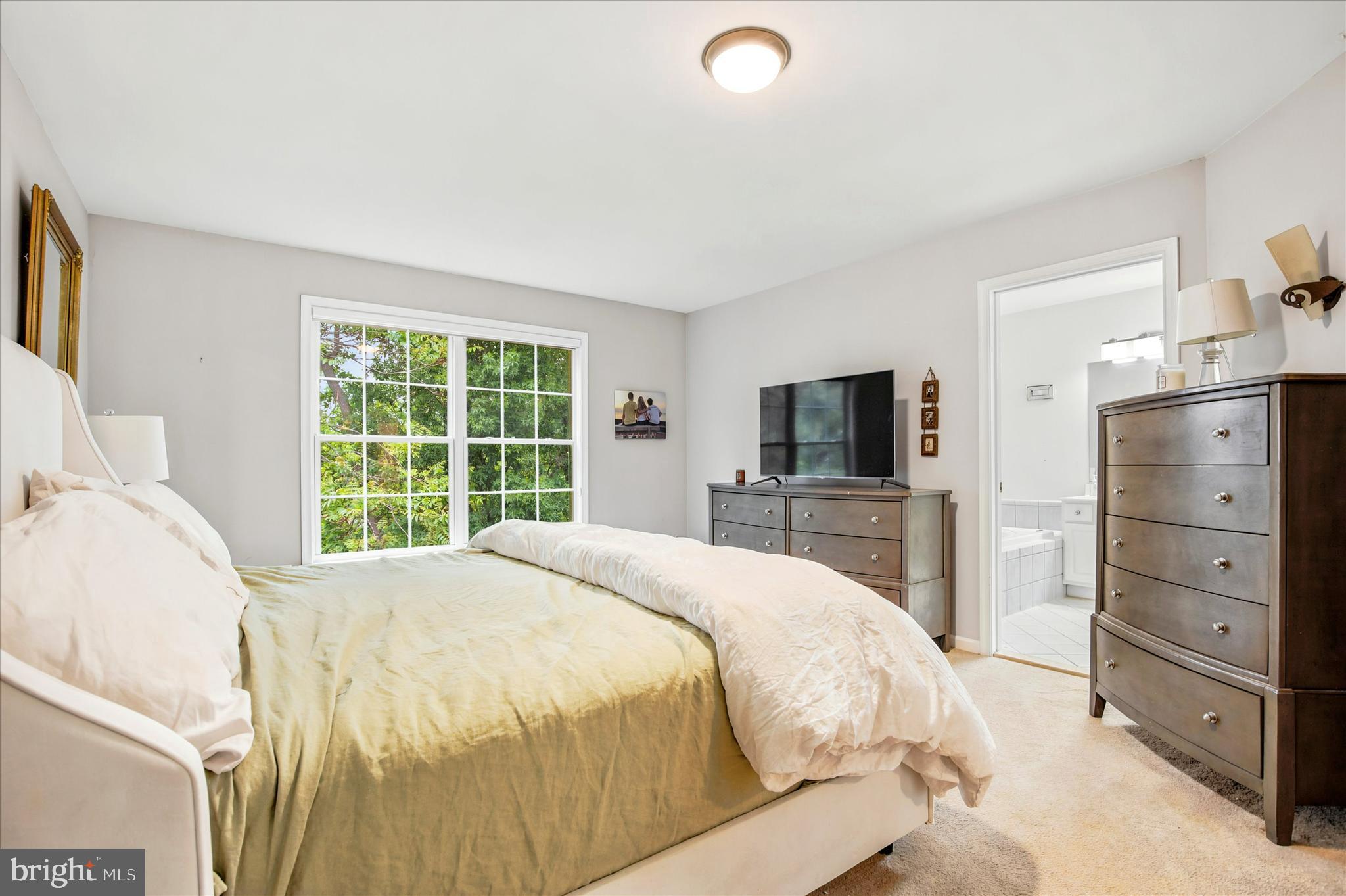 BREYER WOODS - Residential