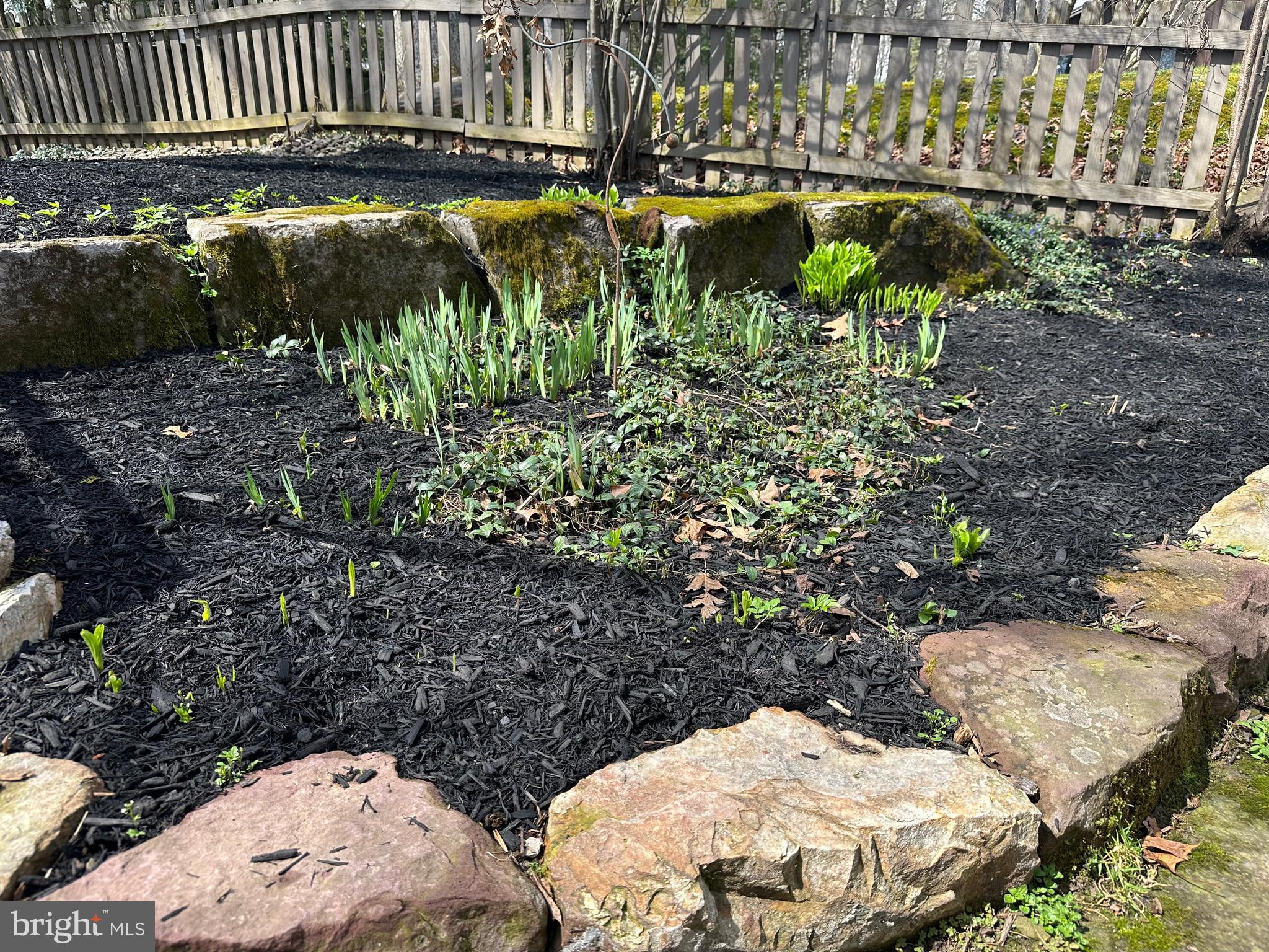 PARK FOREST VILLAGE - Residential