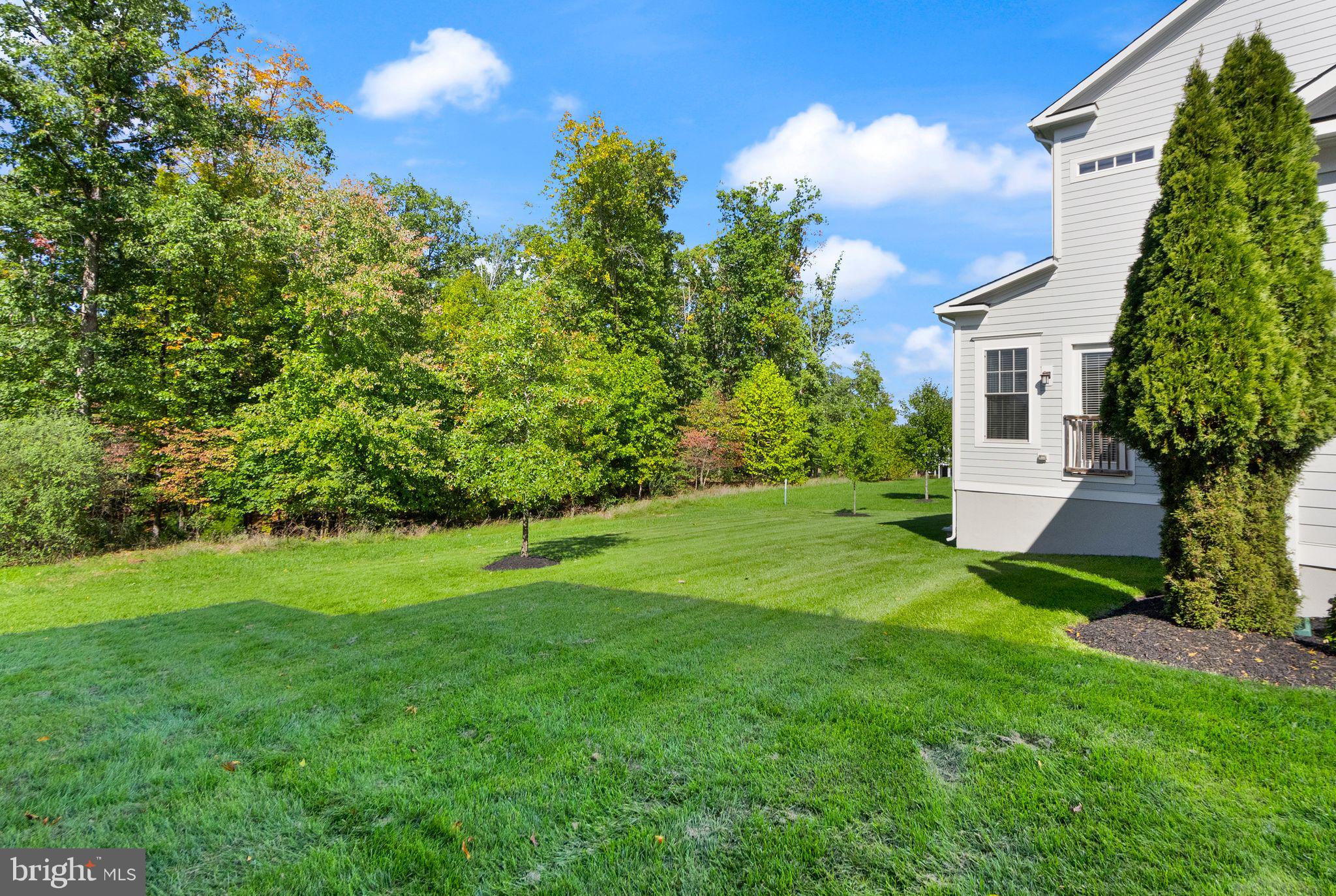 WILLOWSFORD AT THE GRANGE - Residential