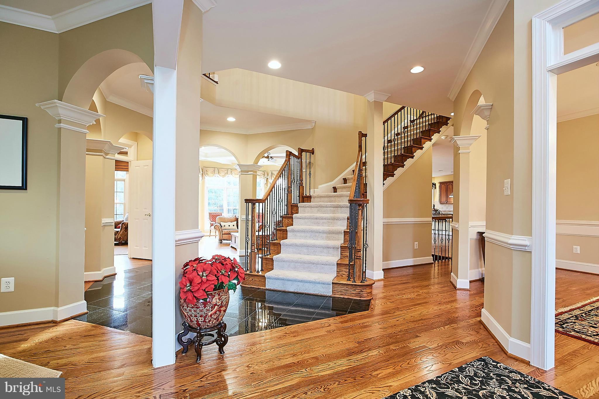 ESTATES AT LONGWOOD - Residential