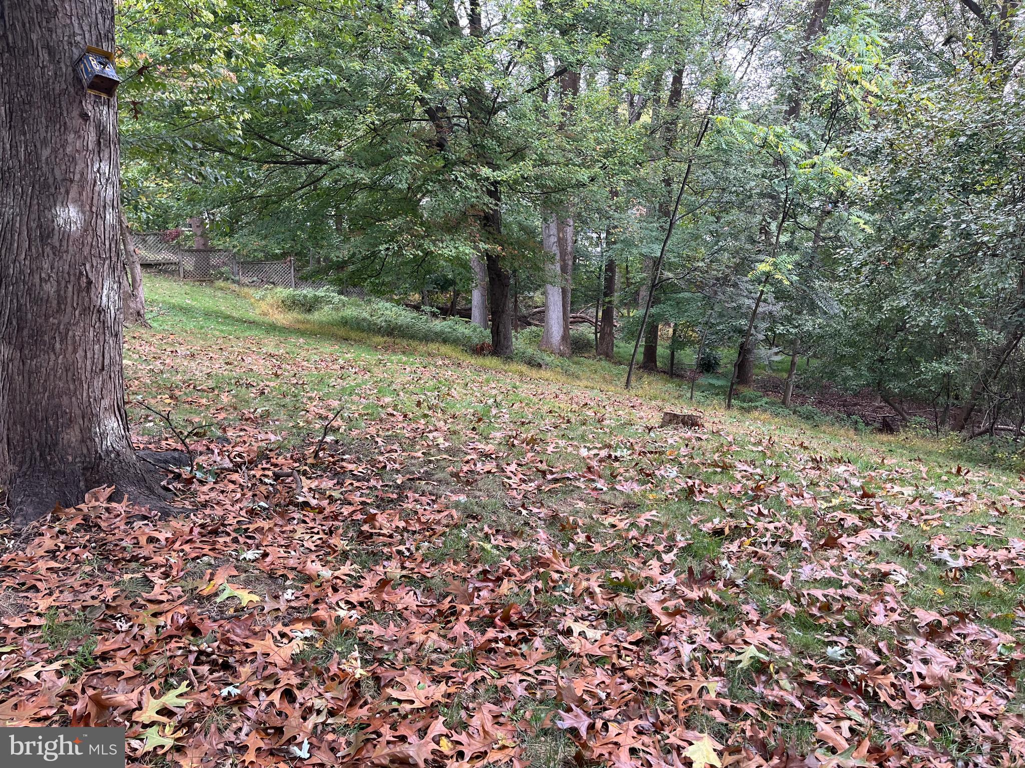 KEMP MILL ESTATES - Residential Lease