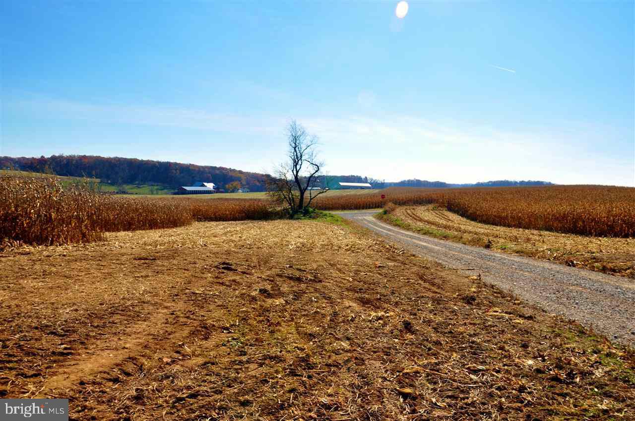 MASON DIXON LINE - Land