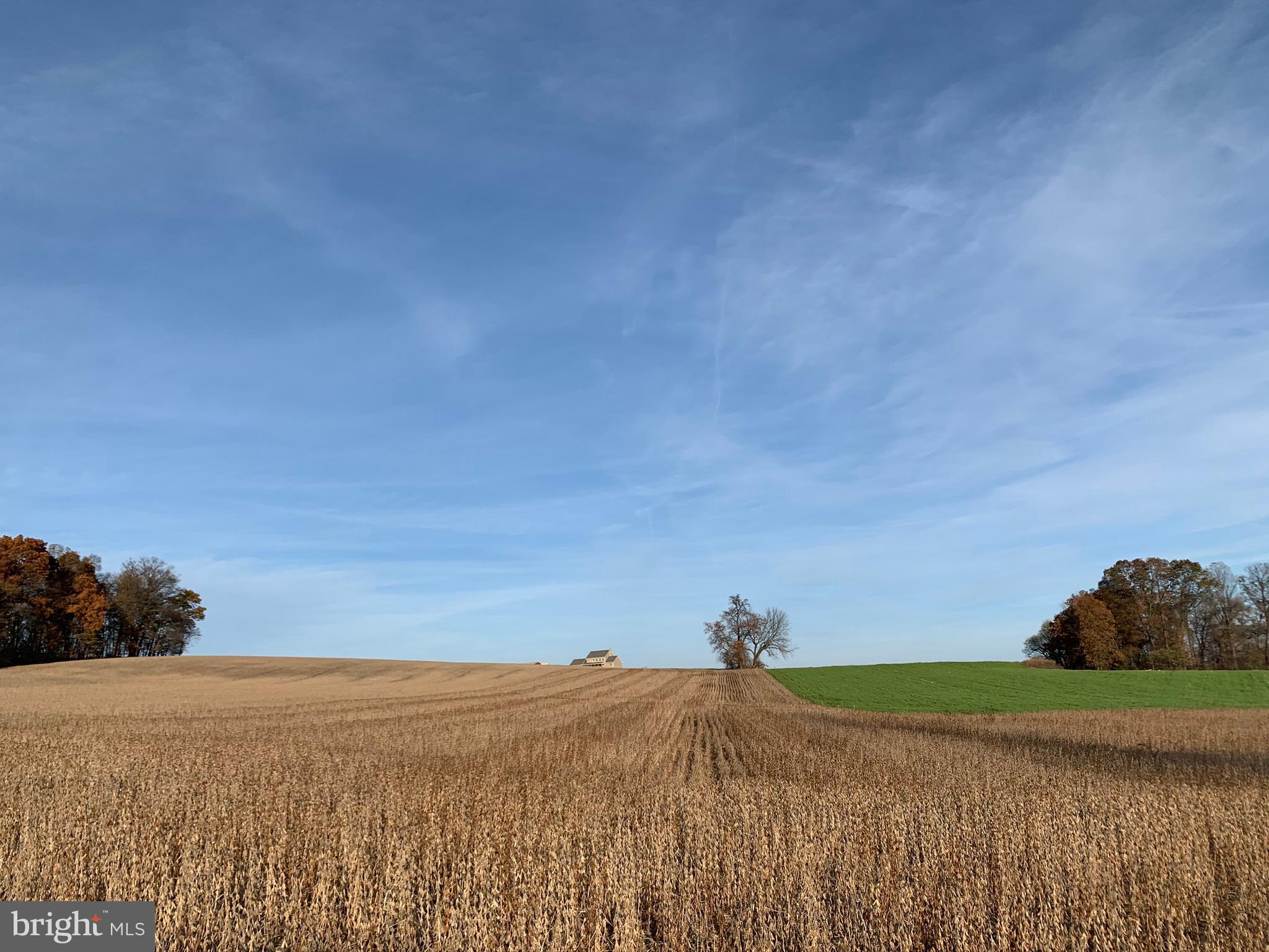 MASON DIXON LINE - Land