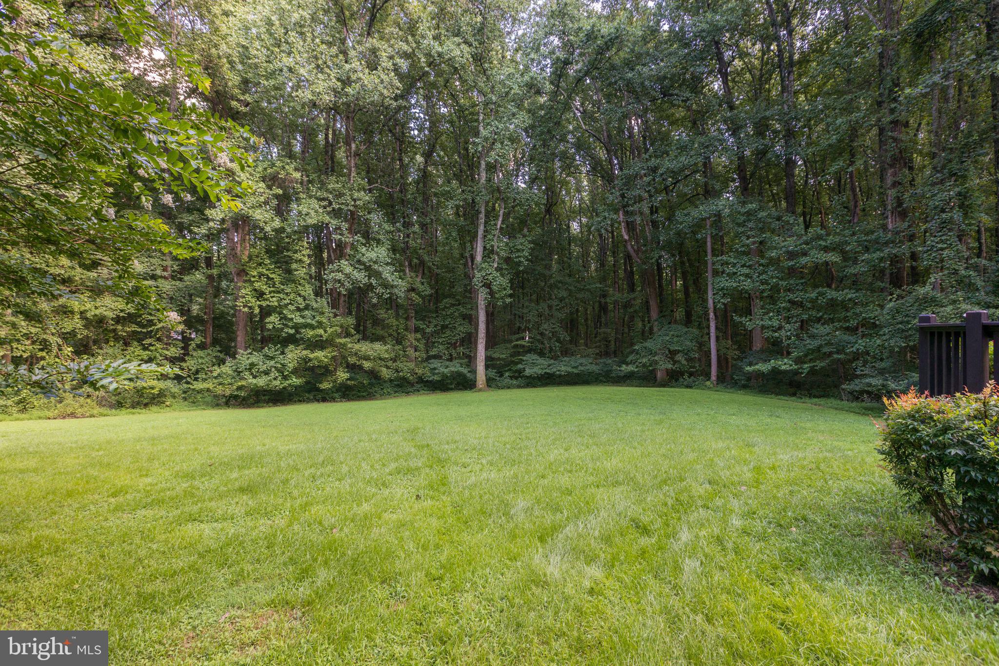 SNOW HILL - Residential