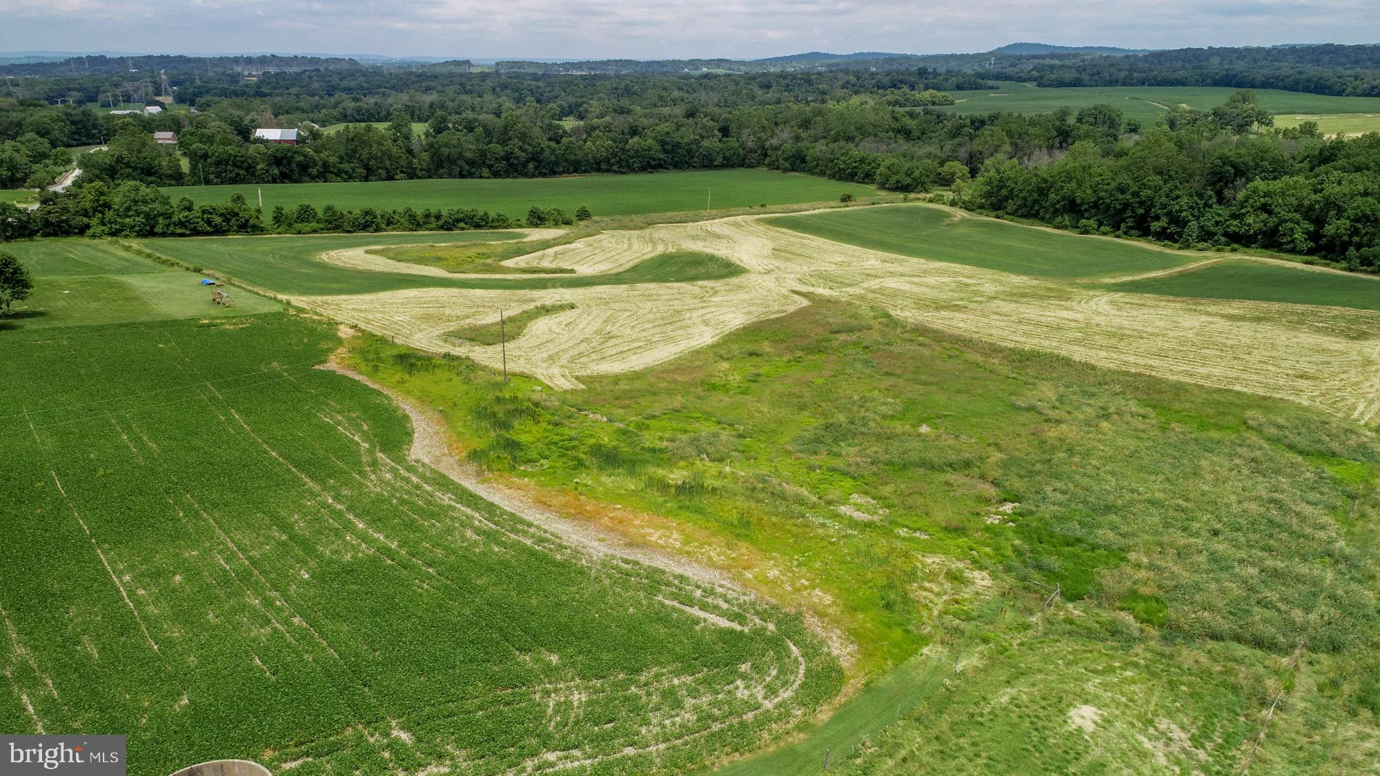 NONE AVAILABLE - Farm