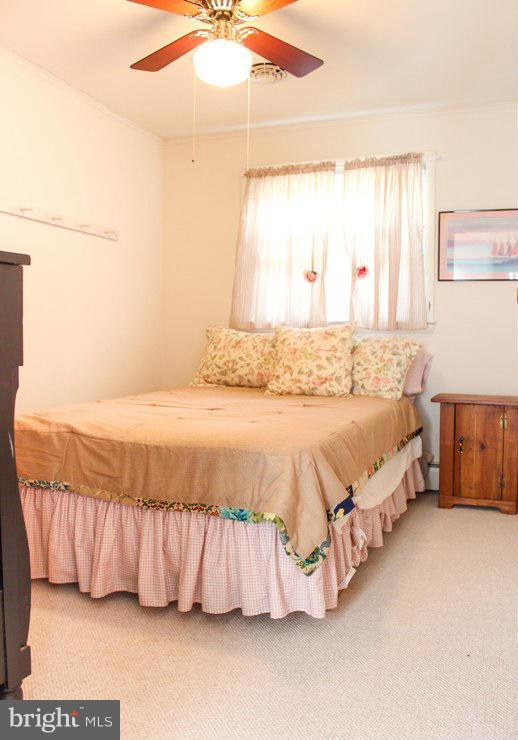 DRUM POINT - Residential