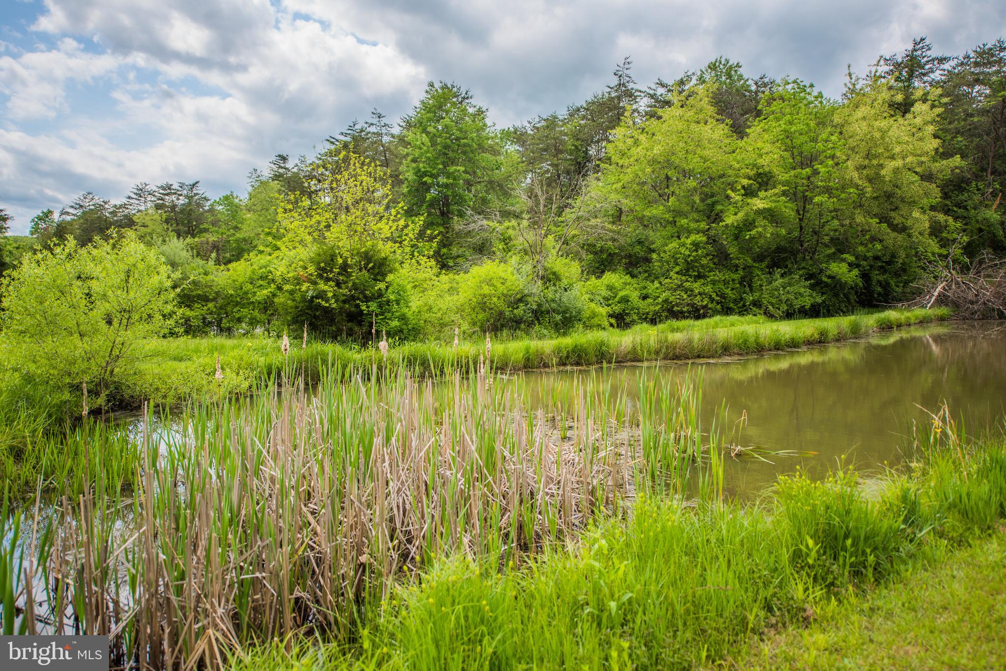 SLEEPY HILL - Residential