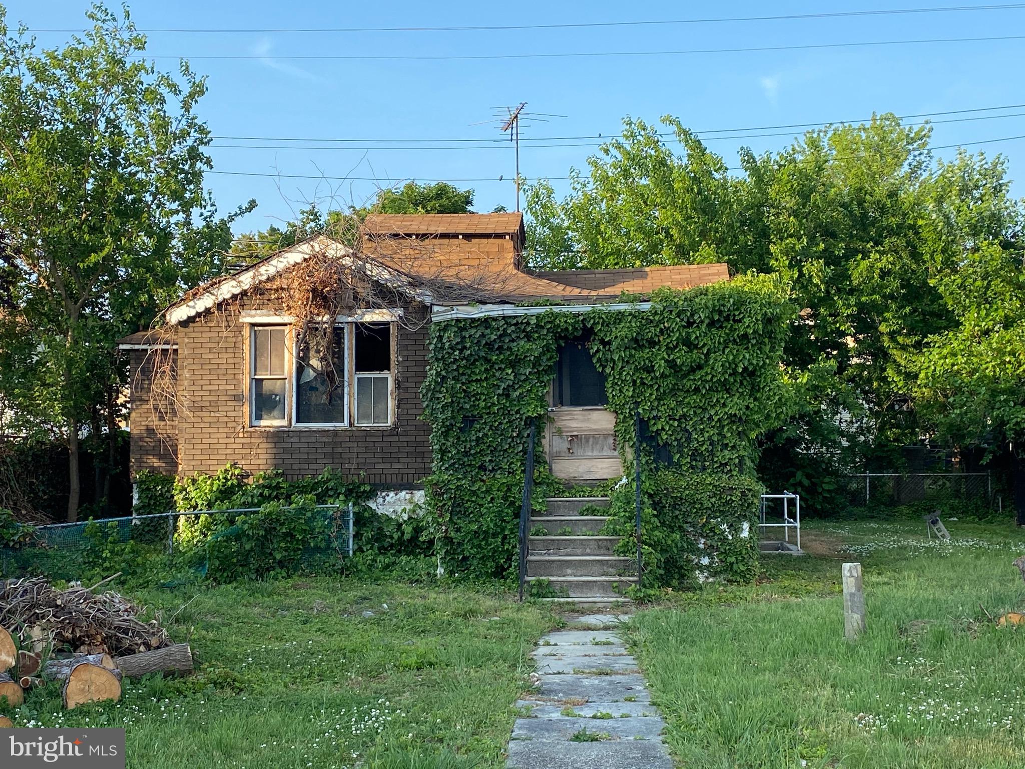 Main image without alt text