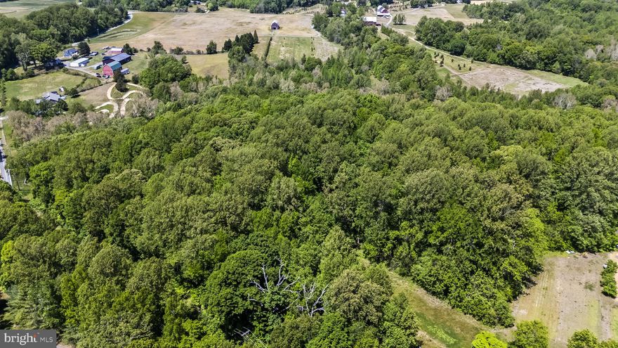 Build your private retreat on this beautiful 10.67-acre property in Brandywine, Maryland! Zoned Agricultural (AG), this unique parcel offers privacy, space, and endless possibilities for those seeking a peaceful rural lifestyle.

The property includes an existing 48’ x 28’ double wide home that conveys with the sale and features existing electricity, private well, and septic connected to the homesite. An artesian well services the property. Documentation from Prince George’s County Health Department Environmental Engineering regarding permits, testing, and perc test information is available.

Whether you’re looking to build your dream home, establish a homestead, or enjoy peaceful country living with room to expand, this property presents a rare opportunity to own 10.67 acres in a convenient location.

No HOA. Conveniently located near shopping, dining, major commuter routes, and Cedarville State Forest while still offering the privacy and tranquility of rural living.

Buyer to perform their own due diligence regarding land use, zoning, utilities, permits, perc approvals, and future development potential.