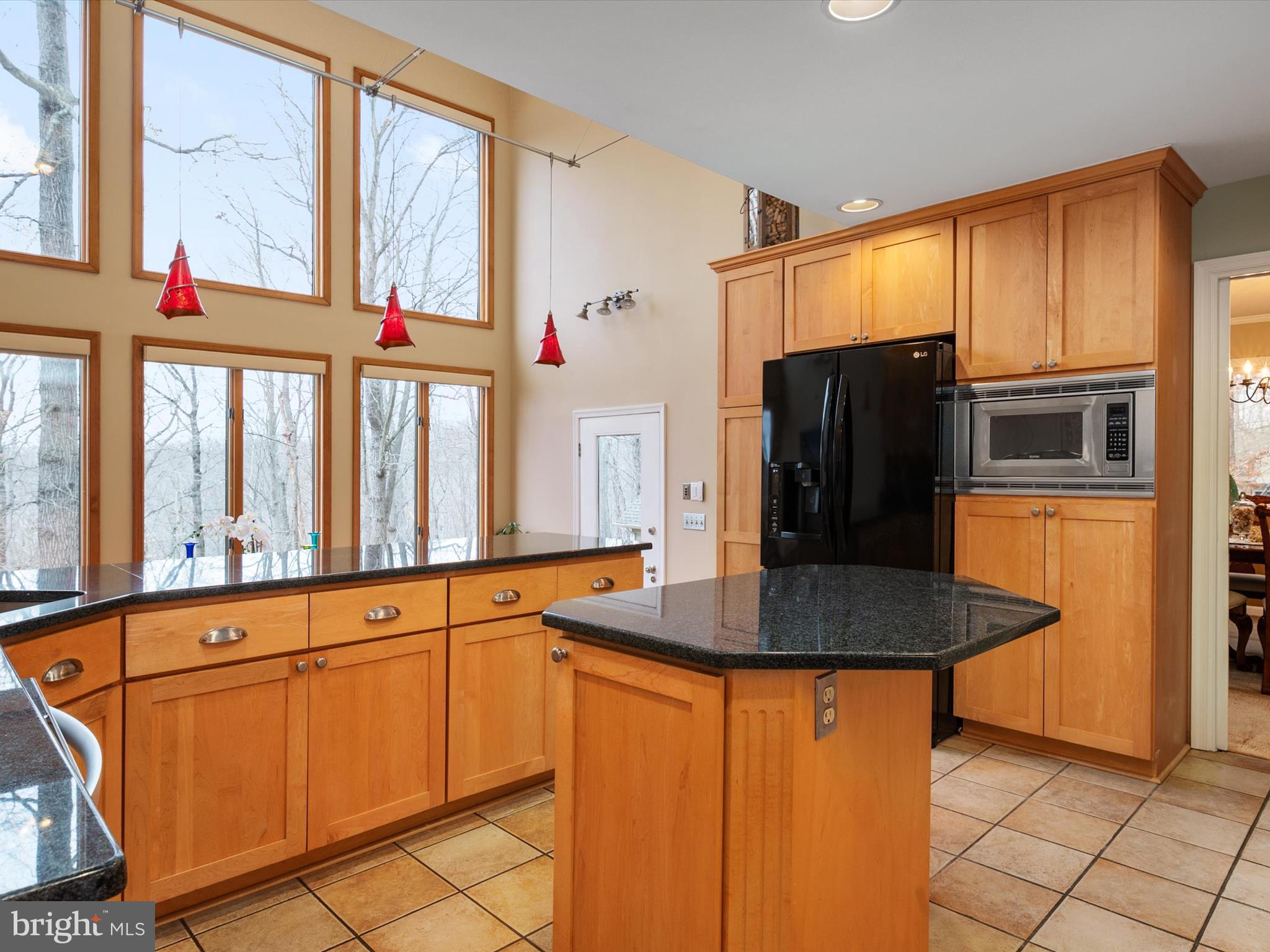 NORTH RIVER FOREST - Residential