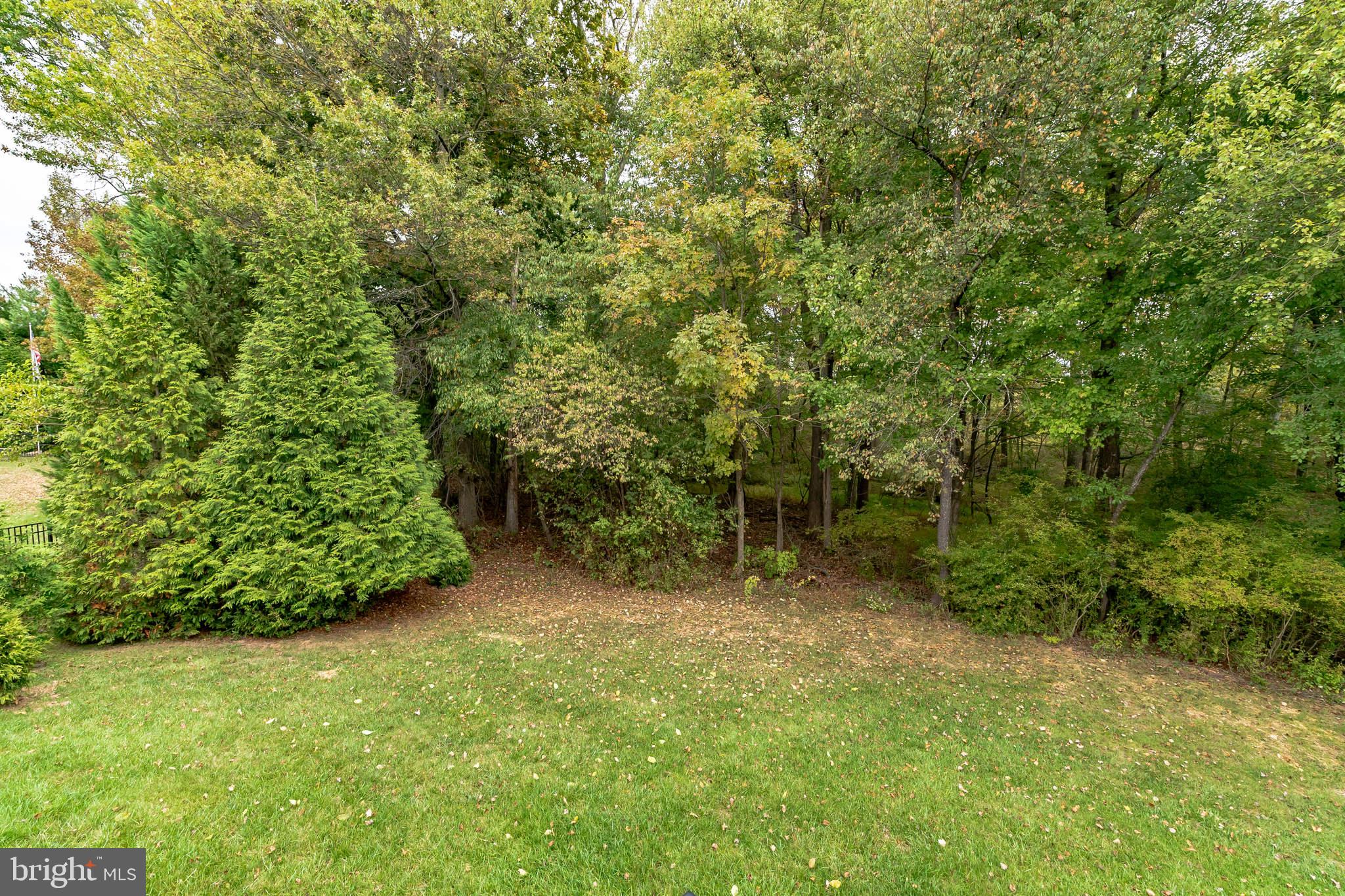 HICKORY RIDGE - Residential