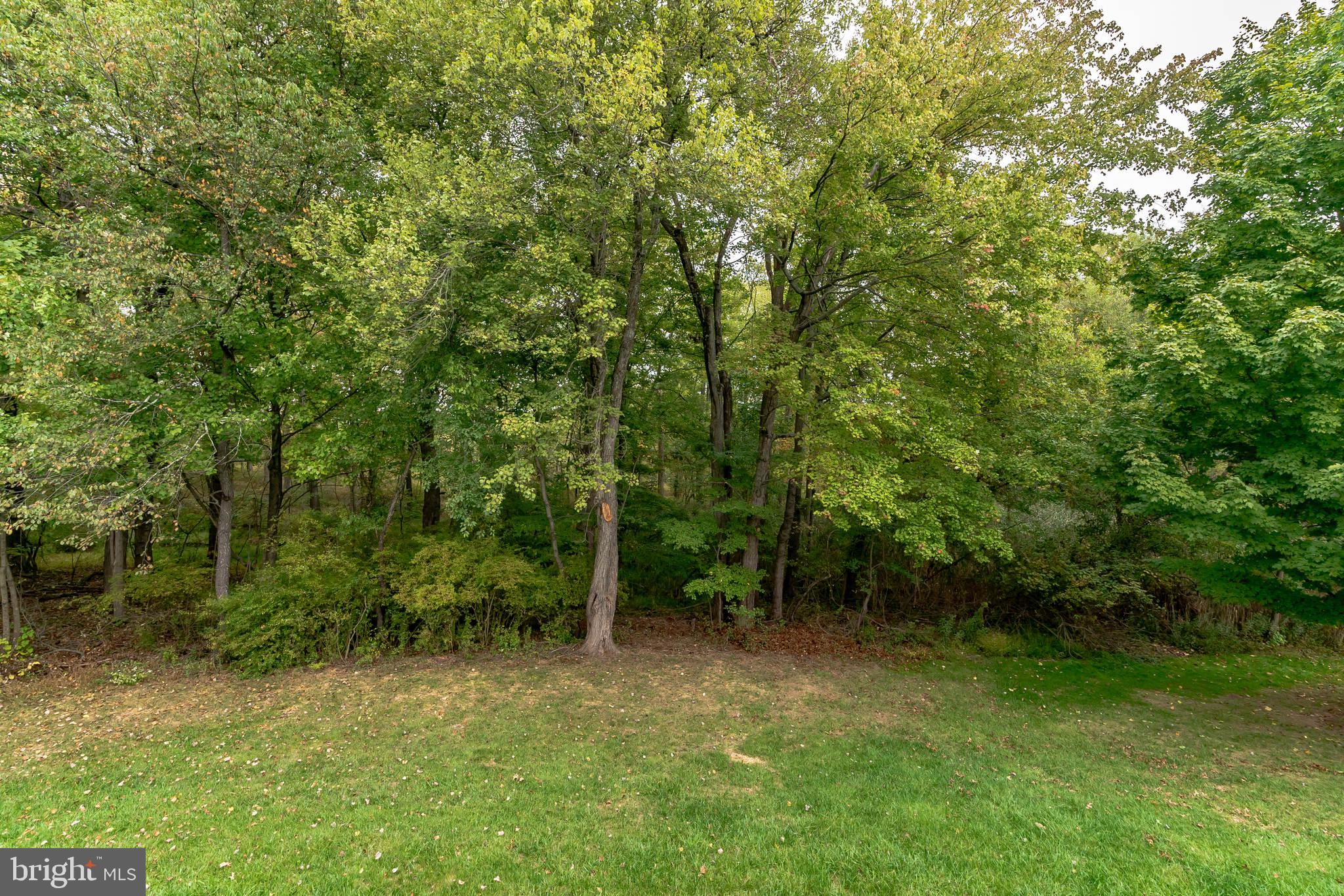 HICKORY RIDGE - Residential