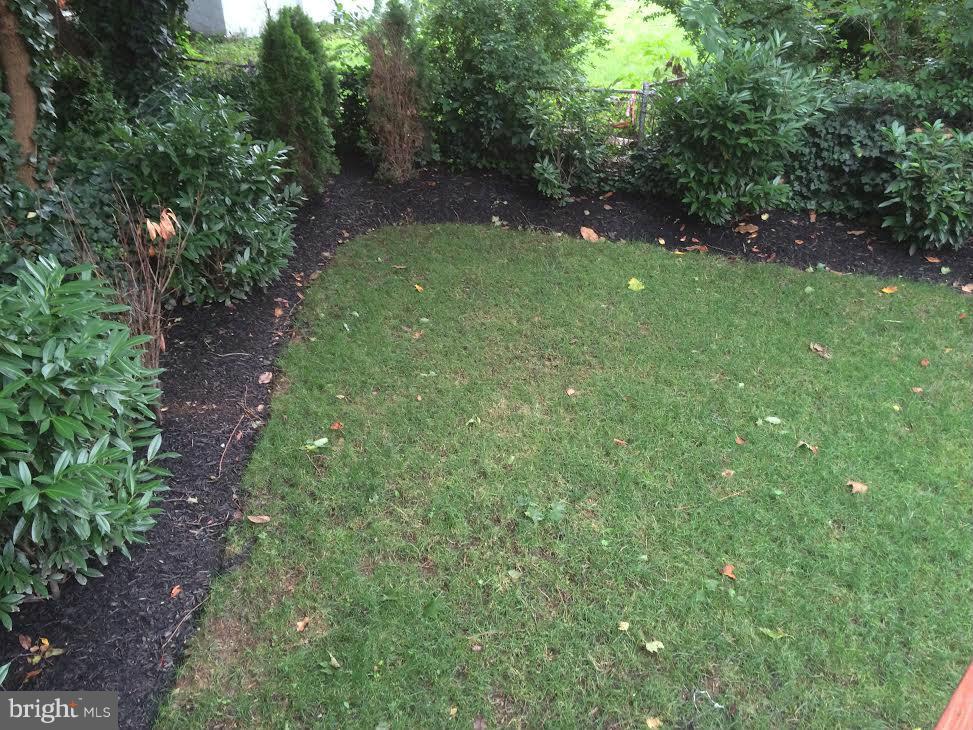 ROSEMONT PARK - Residential Lease