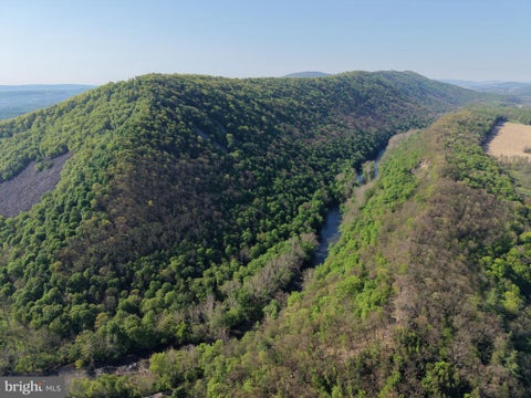 Vacant Land For Sale - TRACT 2: 80.9+/- ACRES William Penn Highway<br/> WILLIAMSBURG, PA 16693