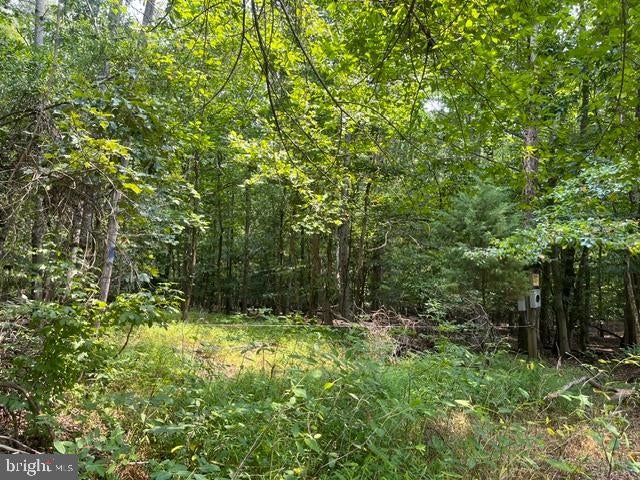 3590 TWINBROOK DRIVE