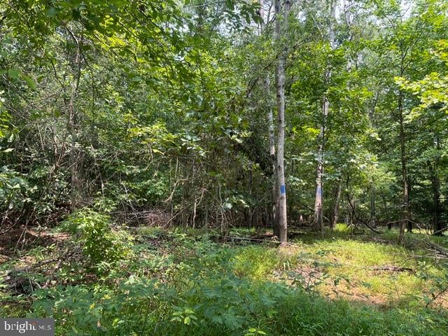 3590 TWINBROOK DRIVE