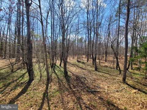 Vacant Land For Sale - Texas School Road<br/> Buckingham County, BUCKINGHAM, VA 23921